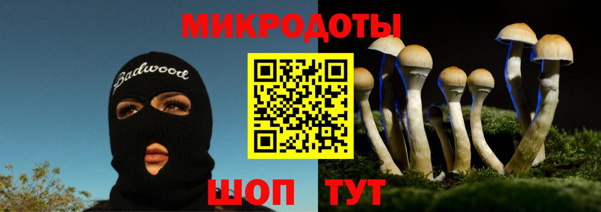 Галлюциногенные грибы мицелий Качканар